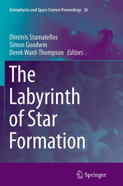 Produktbild: The Labyrinth of Star Formation