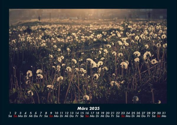Produktbild: Blumentr&auml;ume 2025 Fotokalender DIN A4