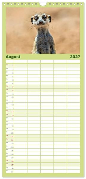 Produktbild: Familienplaner 2027 - Afrikas Tierwelt - Erdm&auml;nnchen mit 5 Spalten (Wandkalender, 21 x 45 cm) CALVENDO