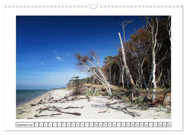 Produktbild: Die Ostseek&uuml;ste (Wandkalender 2026 DIN A3 quer), CALVENDO Monatskalender