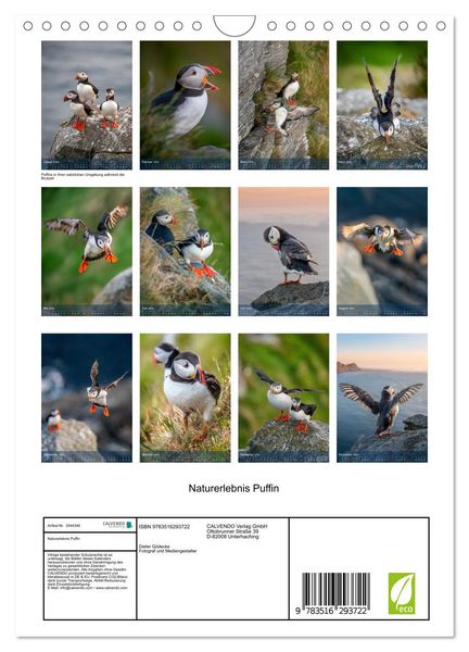 Produktbild: Naturerlebnis Puffin (Wandkalender 2026 DIN A4 hoch), CALVENDO Monatskalender