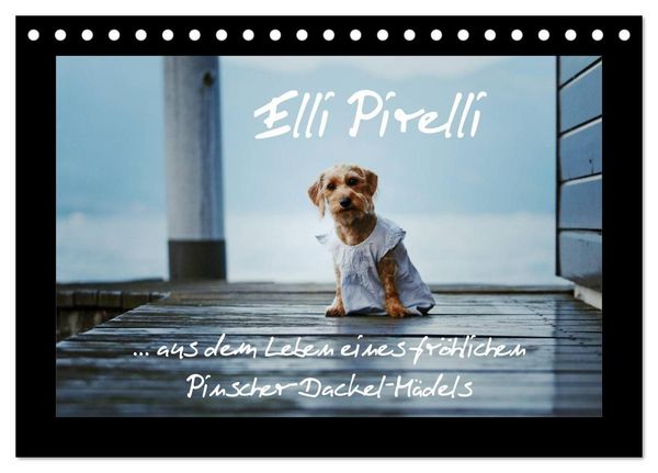 Produktbild: Elli Pirelli... aus dem Leben eines fr&ouml;hlichen Pinscher-Dackel-M&auml;dels (Tischkalender 2027 DIN A5 quer), CALVENDO Monatskalender
