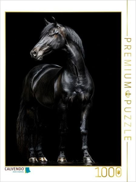Produktbild: CALVENDO Puzzle Schwarze Eleganz - Pferde Rappe | 1000 Teile Lege-Gr&ouml;&szlig;e 64x48cm Foto-Puzzle f&uuml;r gl&uuml;ckliche Stunden