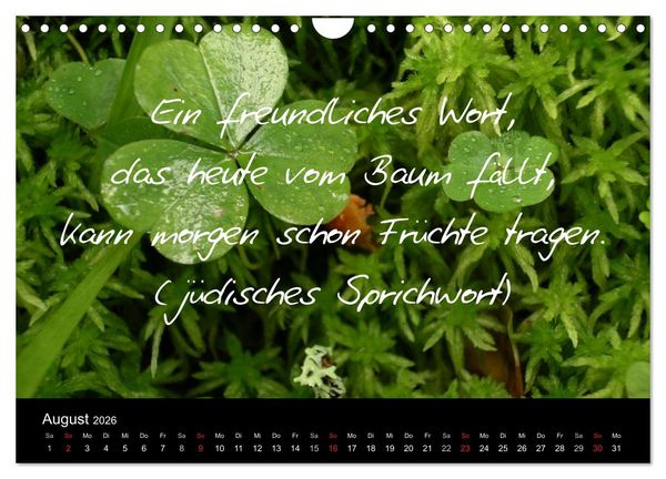 Produktbild: Positiv durch&acute;s Jahr (Wandkalender 2026 DIN A4 quer), CALVENDO Monatskalender
