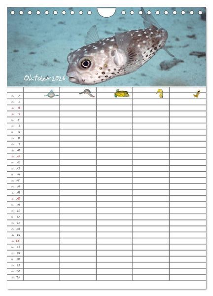 Produktbild: Der Unterwasser Familienplaner 2026 (Wandkalender 2026 DIN A4 hoch), CALVENDO Monatskalender