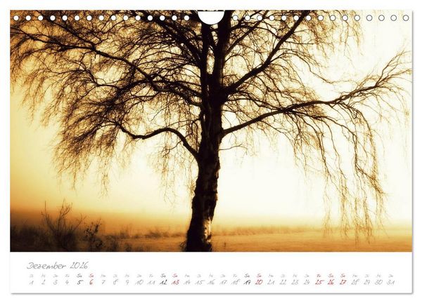 Produktbild: Teufelsmoor Impressionen (Wandkalender 2026 DIN A4 quer), CALVENDO Monatskalender