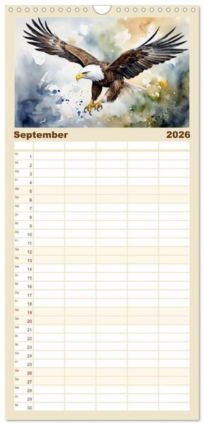Produktbild: Familienplaner 2026 - Wei&szlig;kopfseeadler - Majest&auml;tische V&ouml;gel mit 5 Spalten (Wandkalender, 21 x 45 cm) CALVENDO