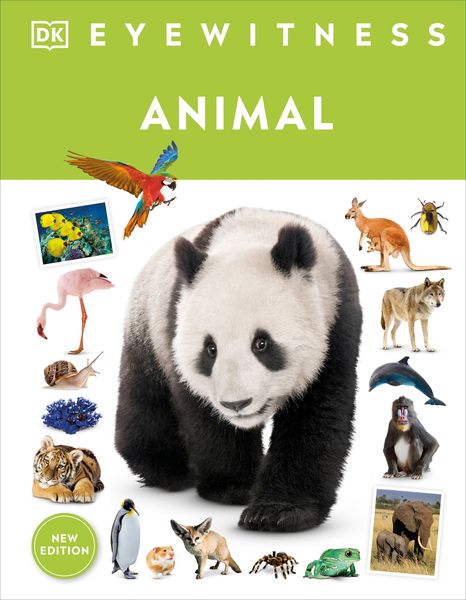 Produktbild: Eyewitness Animal