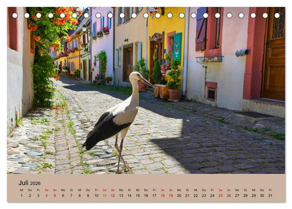 Produktbild: Der Storchenkalender (Tischkalender 2026 DIN A5 quer), CALVENDO Monatskalender