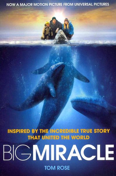Produktbild: Rose, T: Big Miracle