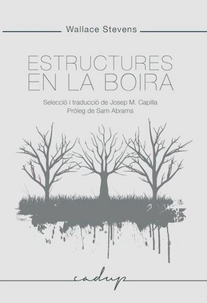 Produktbild: Estructures en la boira