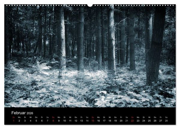 Produktbild: Mystische W&auml;lder (hochwertiger Premium Wandkalender 2026 DIN A2 quer), Kunstdruck in Hochglanz