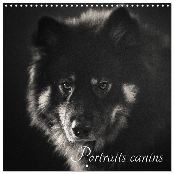 Portraits canins (Calendrier mural carré 2026 30x30 cm) Calendrier double avec une page pour vos prises de notes
