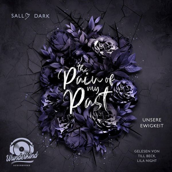 Produktbild: The Pain of my Past