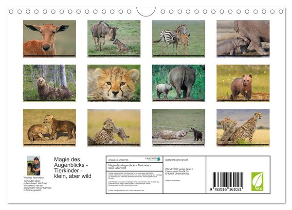 Produktbild: Magie des Augenblicks - Tierkinder - klein, aber wild (Wandkalender 2026 DIN A4 quer), CALVENDO Monatskalender