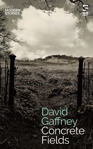 Produktbild: Gaffney, D: Concrete Fields