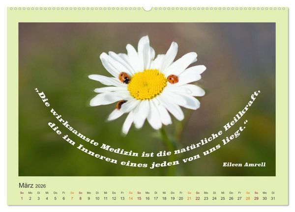Produktbild: Co-Kreation, Gemeinsam Wunder erschaffen (hochwertiger Premium Wandkalender 2026 DIN A2 quer), Kunstdruck in Hochglanz