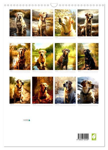 Produktbild: Der Labrador (Wandkalender 2026 DIN A3 hoch), CALVENDO Monatskalender