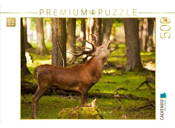 CALVENDO Puzzle Rothirsch - Cervus elaphus | 500 Teile Lege-Größe 48 × 36 cm Foto-Puzzle für Erwachsene