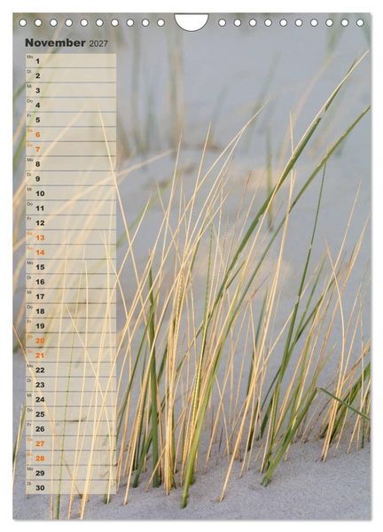 Produktbild: Zwischen D&uuml;nen und Watt / Geburtstagskalender (Wandkalender 2027 DIN A4 hoch), CALVENDO Monatskalender