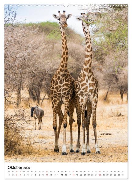 Produktbild: Serengeti Pur - Tansania (Wandkalender 2026 DIN A2 hoch), CALVENDO Monatskalender