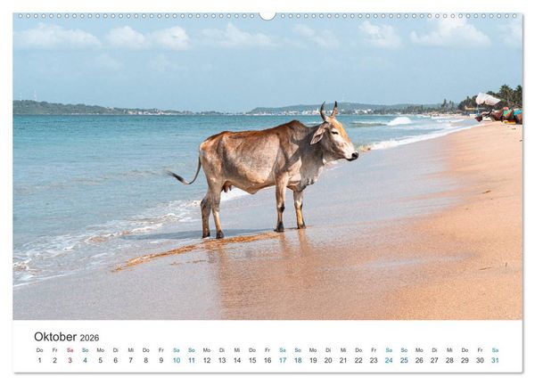 Produktbild: Traumziel Sri Lanka (hochwertiger Premium Wandkalender 2026 DIN A2 quer), Kunstdruck in Hochglanz