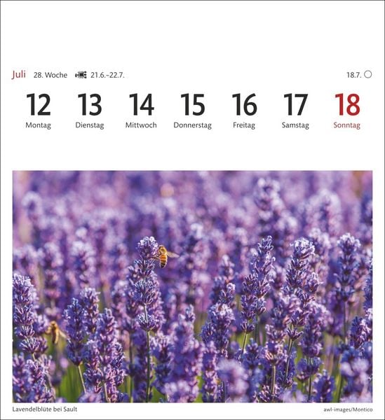 Produktbild: Provence Sehnsuchtskalender 2027 - Wochenkalender mit 53 Postkarten