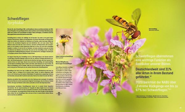 Produktbild: Mein Artenretter Garten