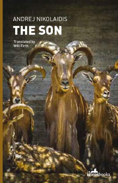 Produktbild: The Son