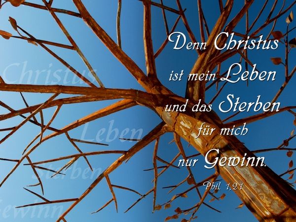 Produktbild: Denn Christus ist mein Leben und das Sterben für mich nur Gewinn (Puzzle)