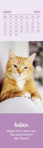 Produktbild: Lesezeichenkalender 2027: Katzenfreunde