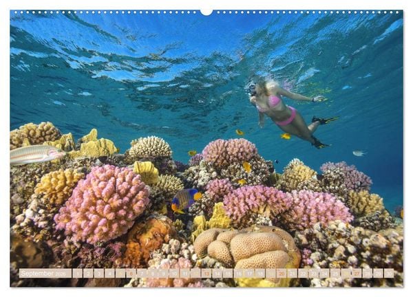 Produktbild: Die Malediven: Fluchtpunkt Sehnsucht (Wandkalender 2026 DIN A2 quer), CALVENDO Monatskalender