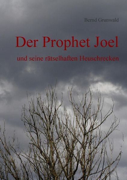 Produktbild: Der Prophet Joel
