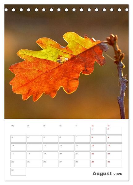 Produktbild: Planen mit dem Symbol der inneren St&auml;rke (Tischkalender 2026 DIN A5 hoch), CALVENDO Monatskalender