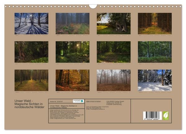 Produktbild: Unser Wald - Magische Sichten in norddeutsche W&auml;lder (Wandkalender 2026 DIN A3 quer), CALVENDO Monatskalender