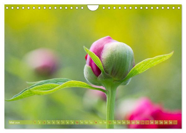 Produktbild: Die Poesie der Pflanzenwelt - Im Wandel der Jahreszeiten (Wandkalender 2026 DIN A4 quer), CALVENDO Monatskalender
