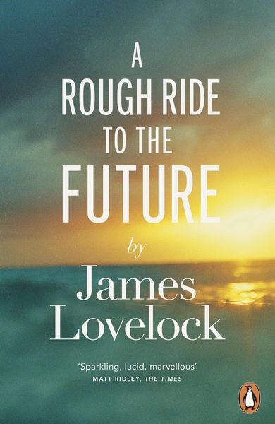 Produktbild: A Rough Ride to the Future