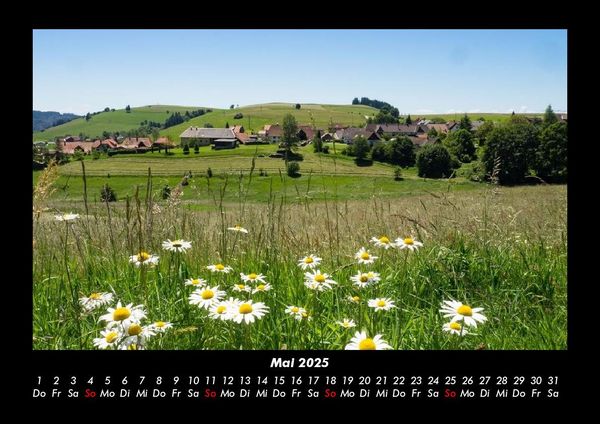 Produktbild: Blumenkalender 2025 Fotokalender DIN A3