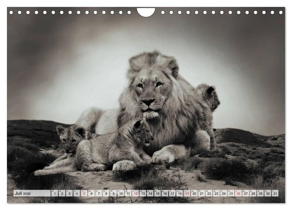 Produktbild: Wilde Tiere in schwarz-wei&szlig; (Wandkalender 2026 DIN A4 quer), CALVENDO Monatskalender