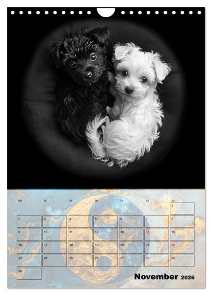 Produktbild: Sei das Yin zu meinem Yang (Wandkalender 2026 DIN A4 hoch), CALVENDO Monatskalender