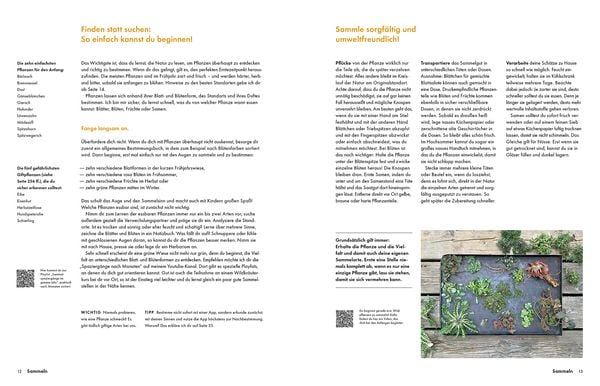 Produktbild: Wildkräuter – Bestimmen, Sammeln, Zubereiten