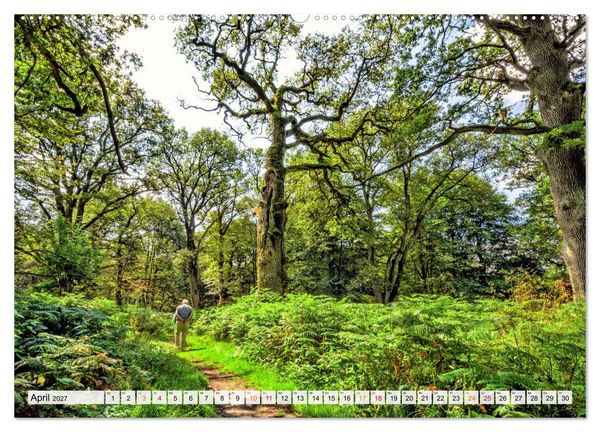 Produktbild: Naturpark Reinhardswald - Wo die Sababurg auf die Weser trifft (Wandkalender 2027 DIN A2 quer), CALVENDO Monatskalender