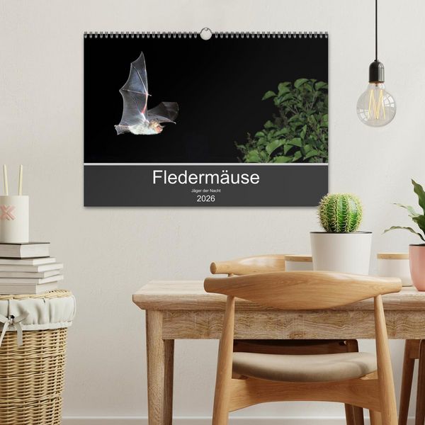 Produktbild: Flederm&auml;use - J&auml;ger der Nacht (Wandkalender 2026 DIN A3 quer), CALVENDO Monatskalender