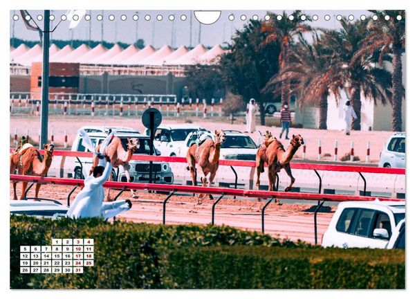 Produktbild: Die Emirate - Im Land der sieben Seelen (Wandkalender 2026 DIN A4 quer), CALVENDO Monatskalender