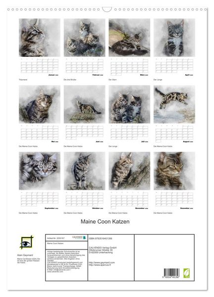 Produktbild: Maine Coon Katzen (Wandkalender 2026 DIN A2 hoch), CALVENDO Monatskalender