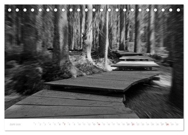 Produktbild: Mystischer Schwarzwald (Tischkalender 2026 DIN A5 quer), CALVENDO Monatskalender