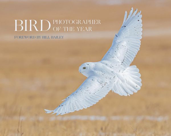 Produktbild: Bird Photographer of the Year