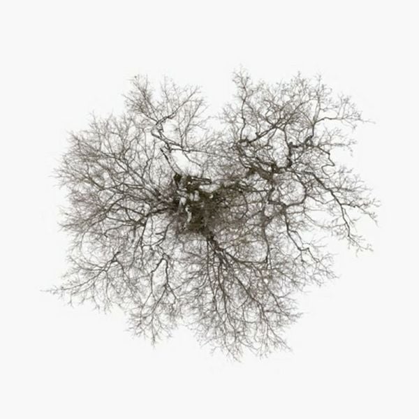 Produktbild: Tree