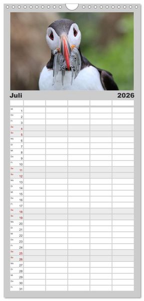 Produktbild: Familienplaner 2026 - Island - Traumland am Rande der Arktis mit 5 Spalten (Wandkalender, 21 x 45 cm) CALVENDO