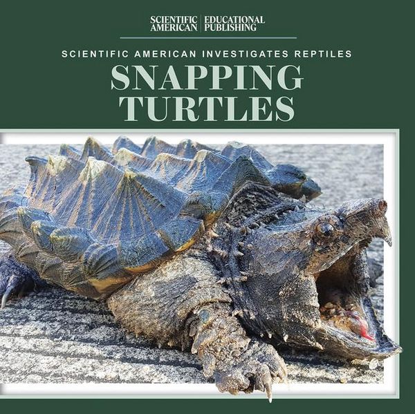 Produktbild: Snapping Turtles